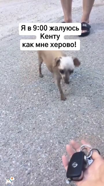 Переоценил себя 😆🤣