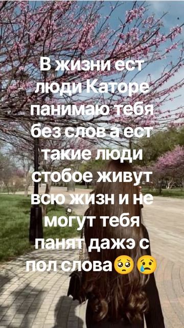 акади