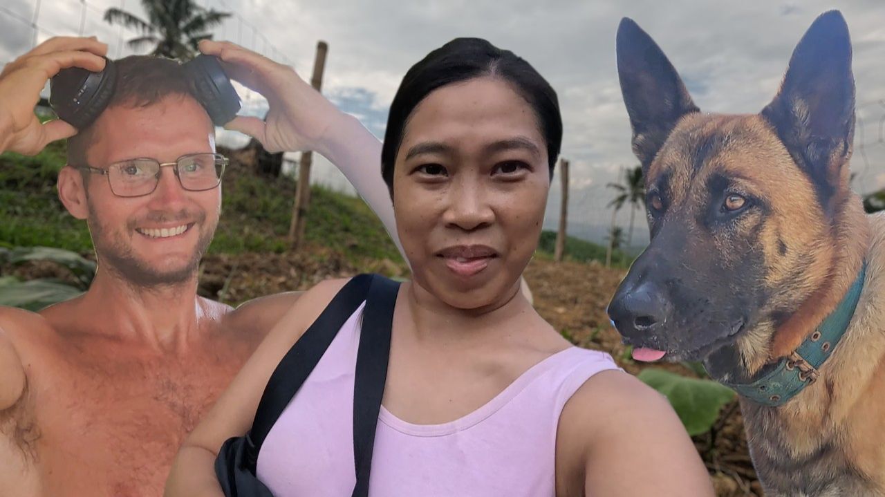 ИСХОД РУССКИХ МУЖИКОВ В ДЖУНГЛИ. Taking Our Dogs To The Vet Clinic For Their Vaccines