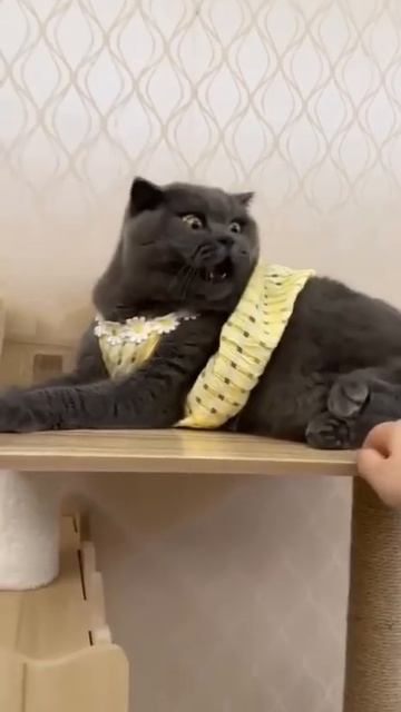 Не пачкай меня!