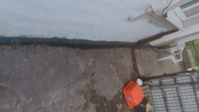 269.mp4
