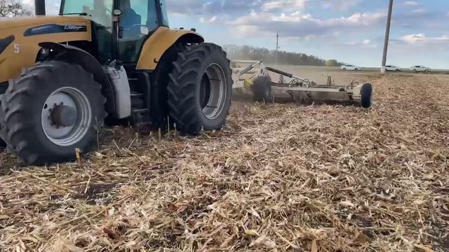 рубящий каток по кукурузе Триумф 8  Рейзор АГро