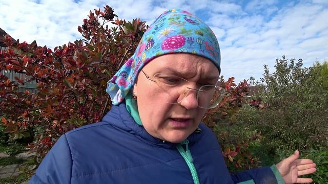 Посадка лука и чеснока под зиму. Часть 1