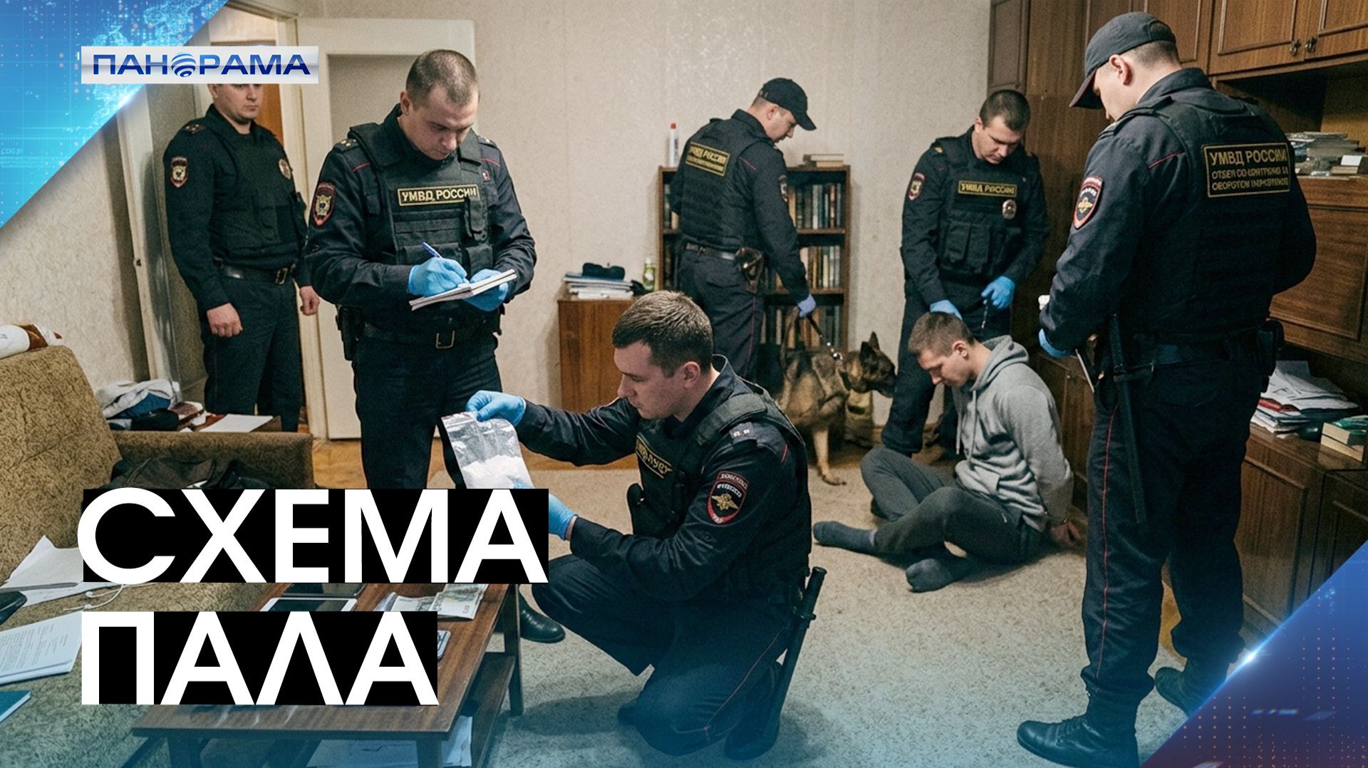 Сотрудники МВД задержали поставщика наркотических веществ сразу в два региона