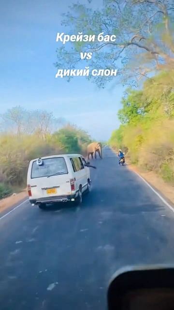 Дороги Шри-ланки