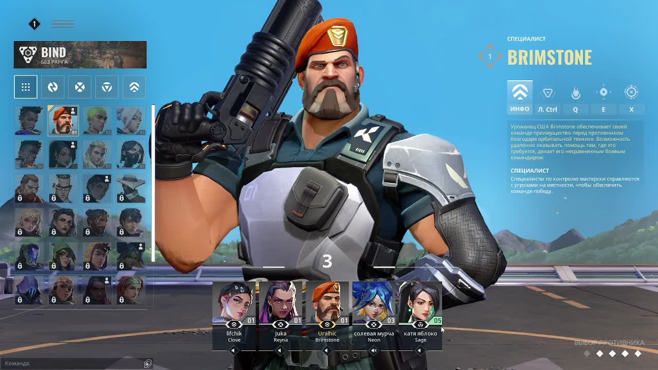 LIVE: Profi Gamer