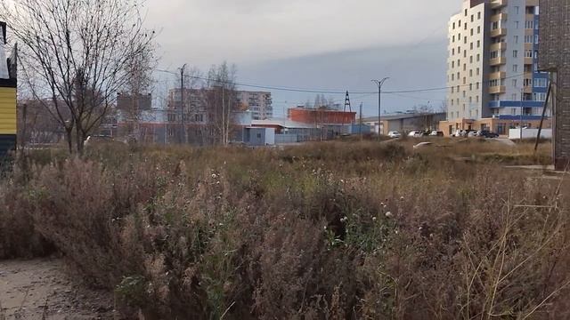 Парк  Рабочий квартал. Ленск. Якутия.