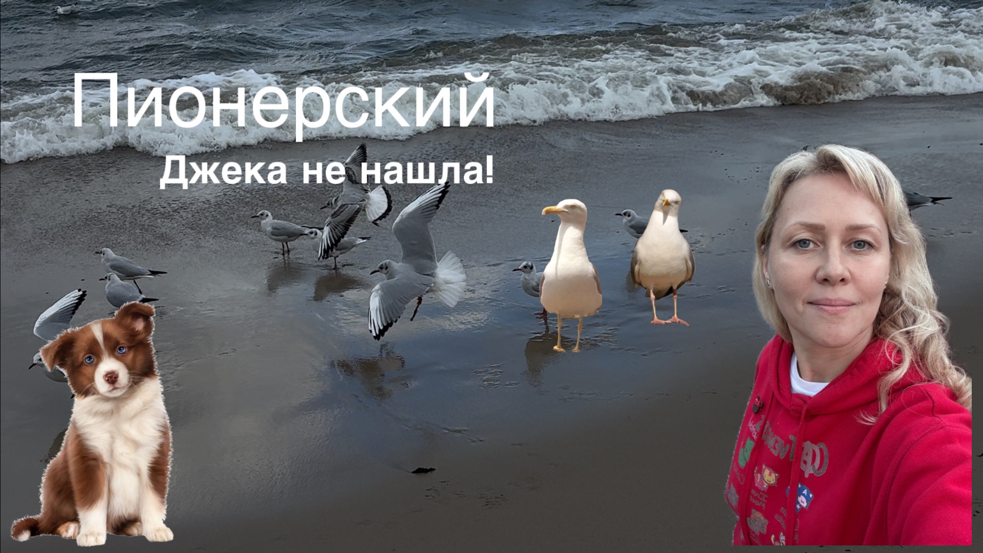 Калининград 😌 случайная встреча!