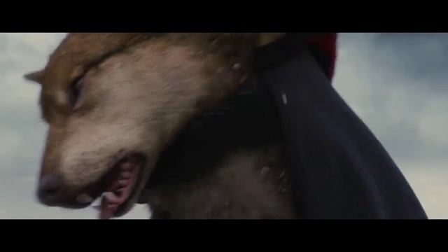 Сумерки 5