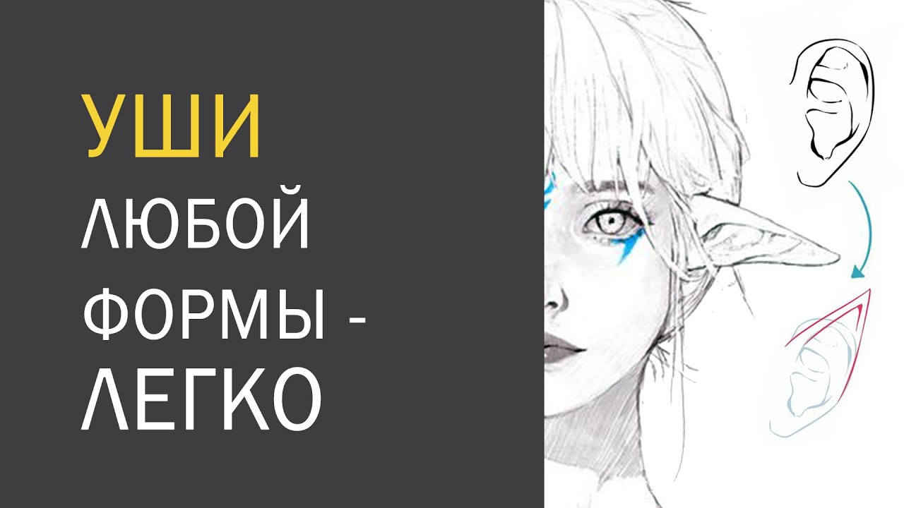 Уши по технике 