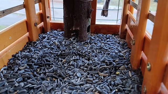 🐦⬛🐦⬛🐦⬛Привет всем моим подписчикам .