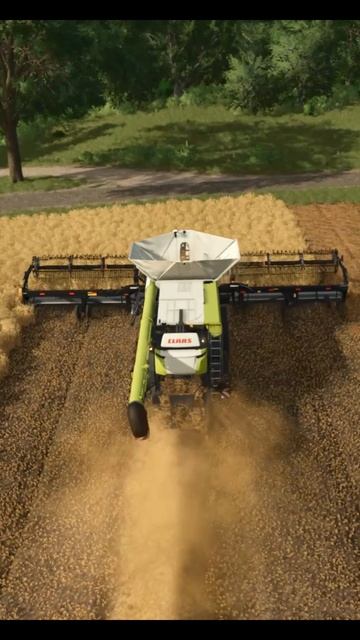 Field Cleaning FS25, Part 2