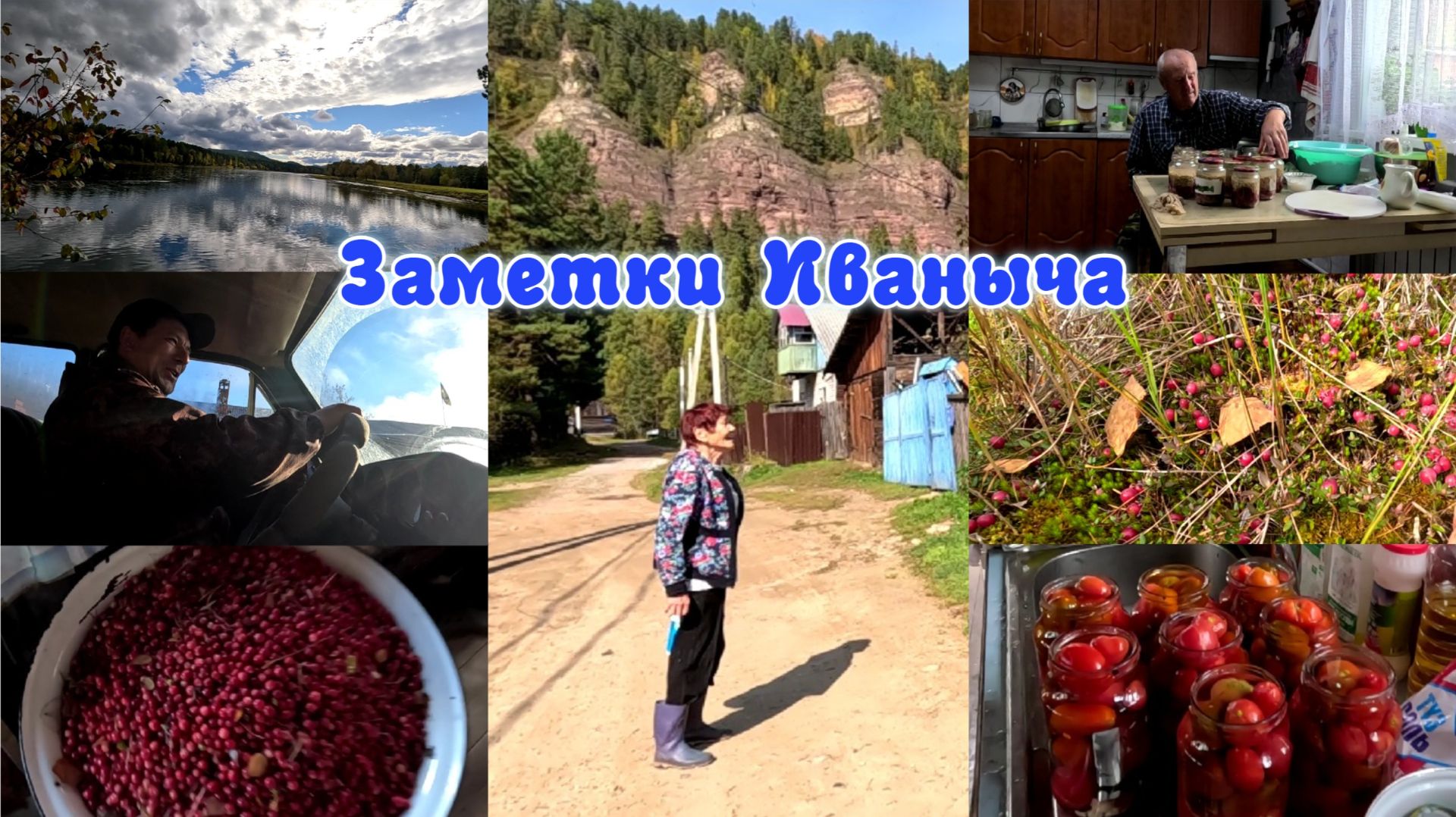 Собираем урожай, заготовки, зразы и поход за клюквой