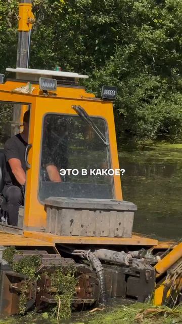 Свободное время