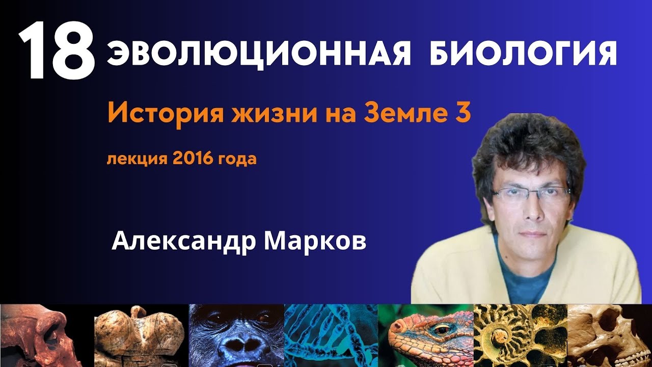 Происхождение жизни: от первых репликаторов к первым живым клеткам