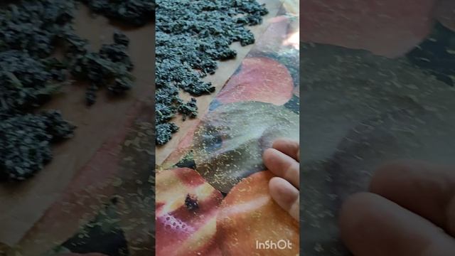 Ароматная соль с базиликом