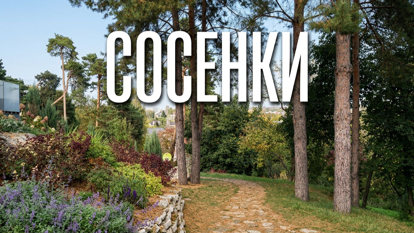 Сосенки. Sosenki Park In Vladimir