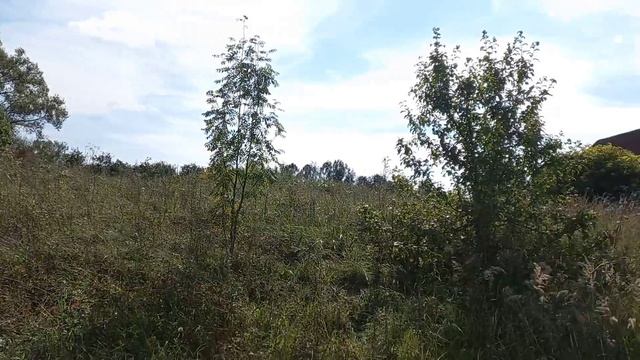 50:04:0200402:562