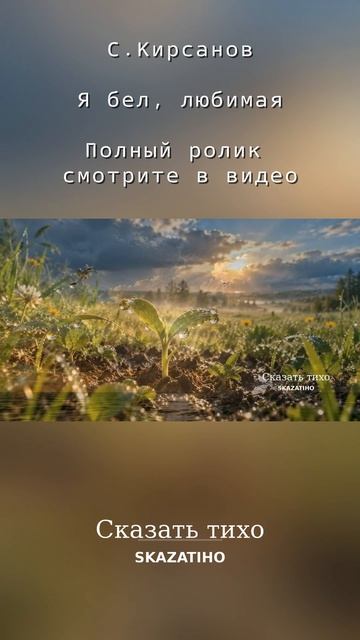 С.Кирсанов. Я бел, любимая...