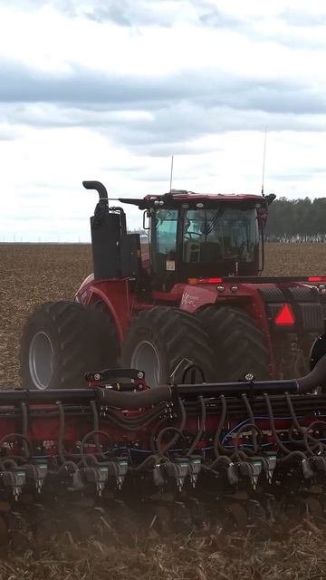 CASE IH