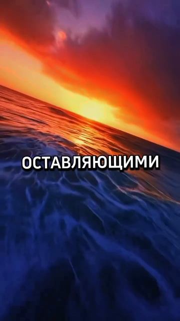 ЭЛИКСИР НОВОГО ДНЯ