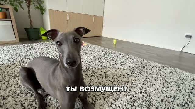 ИТОГИ ЭКСПЕРИМЕНТА