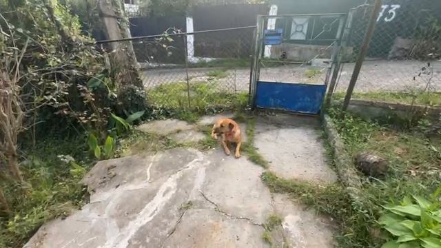 ПОЛИНА НЕ ХОЧЕТ ВЯЗАТЬ УЗЛЫ