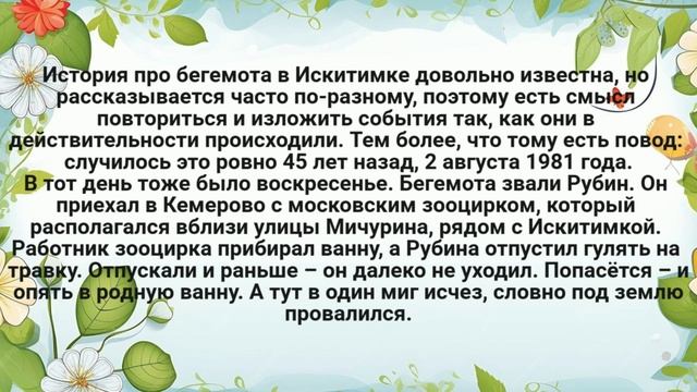 Семейка мишек, про бегемота Жужу(который сбежал из цирка)Кемерово
