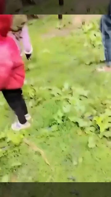 Провал земли.