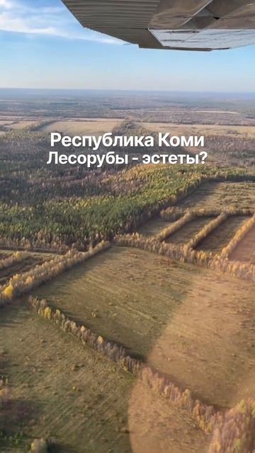 #Ухта …лесорубы - эстеты? …Республика Коми…сентябрь 2026