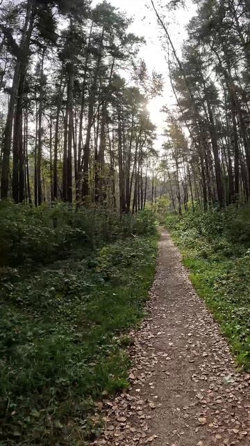 Осень в сентябре
