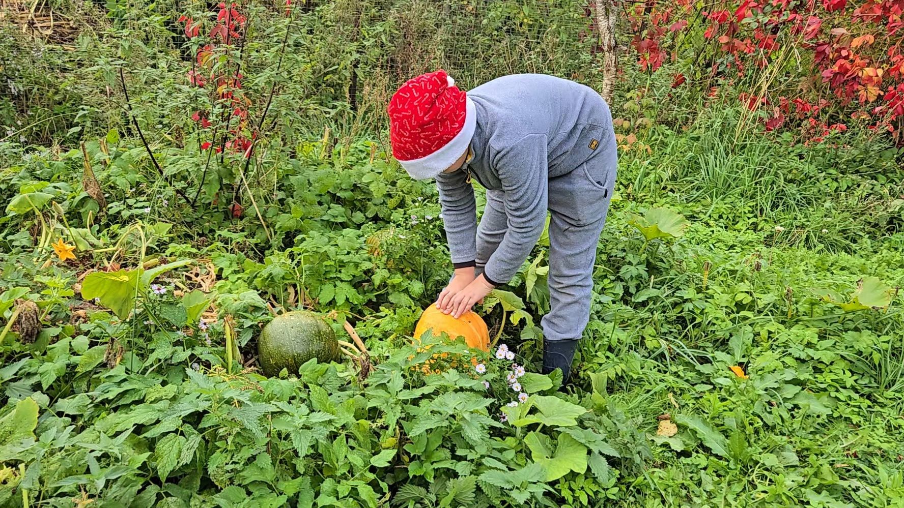 После леса, оживший Скворешник и день сельхозработ