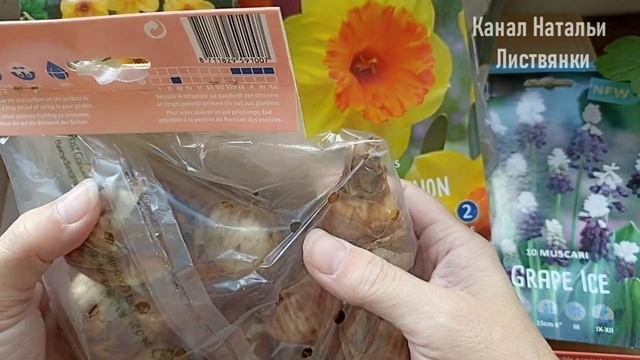 Распаковка. Заказ нарциссов. Не реклама