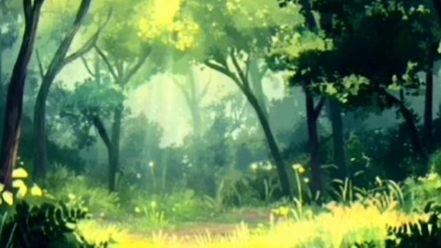 Enemy//MAP//Hawk Father//part 3