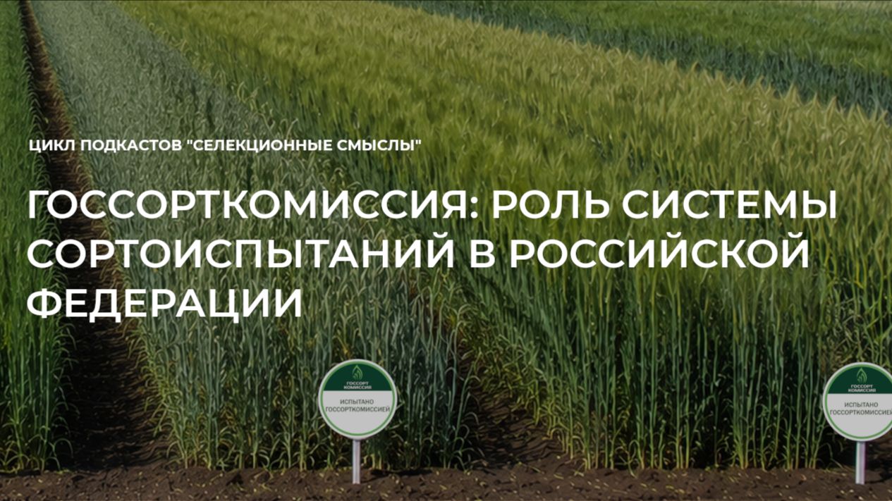 Госсорткомиссия: роль системы сортоиспытаний в Российской Федерации