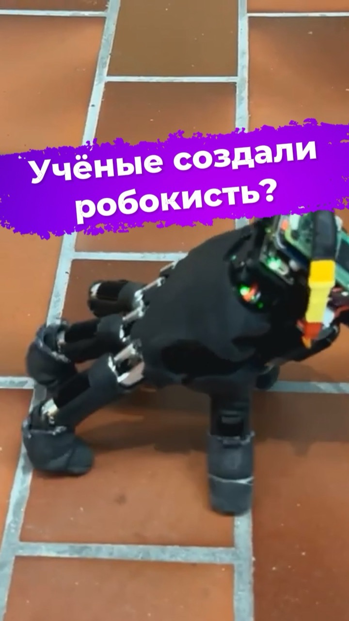 Учёные создали робокисть? #ixbt #новости #роботы #softrobotics #наука