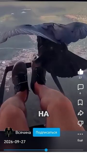 невероятные животные