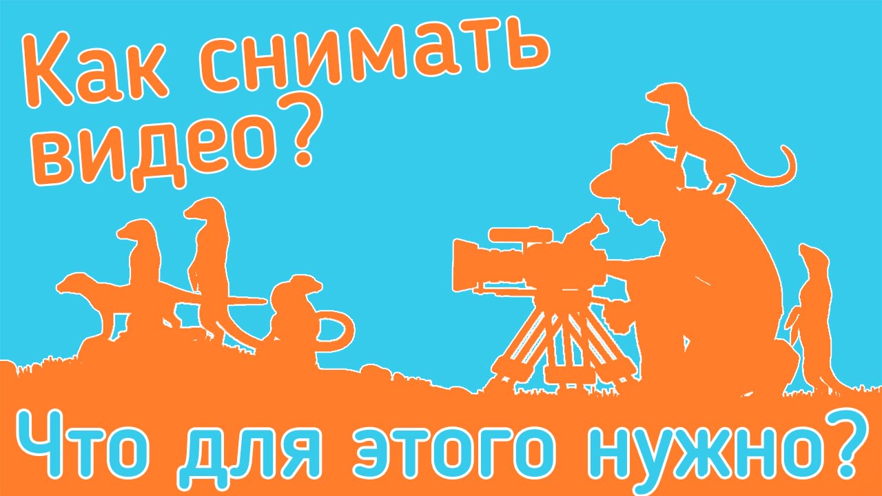 Как снимать видео? Что для этого нужно? Советы начинающему блоггеру от А до Я.