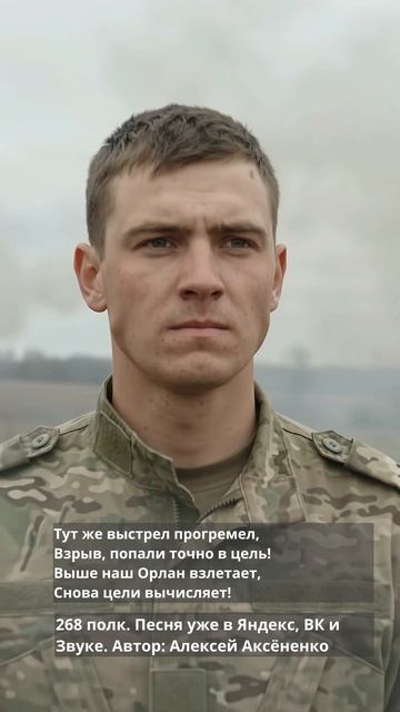 268 полк 1 (10)