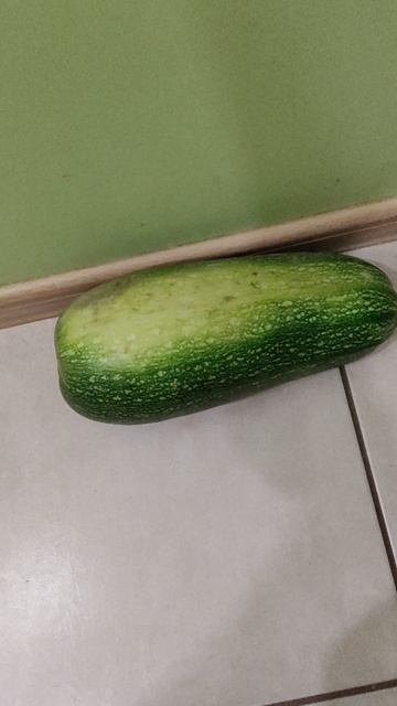 отлежал😍