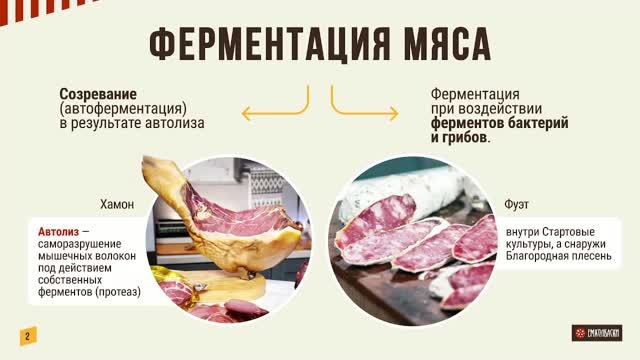 Прямой эфир про стартовые культуры для мяса часть 1