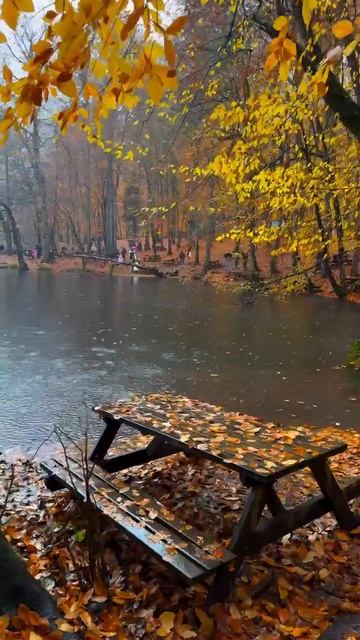 Подпишись на нас в Соц Сетях👇👇👇