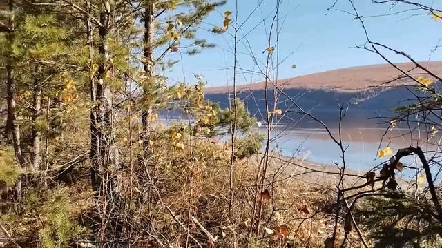 26 09.2026 берег Лены