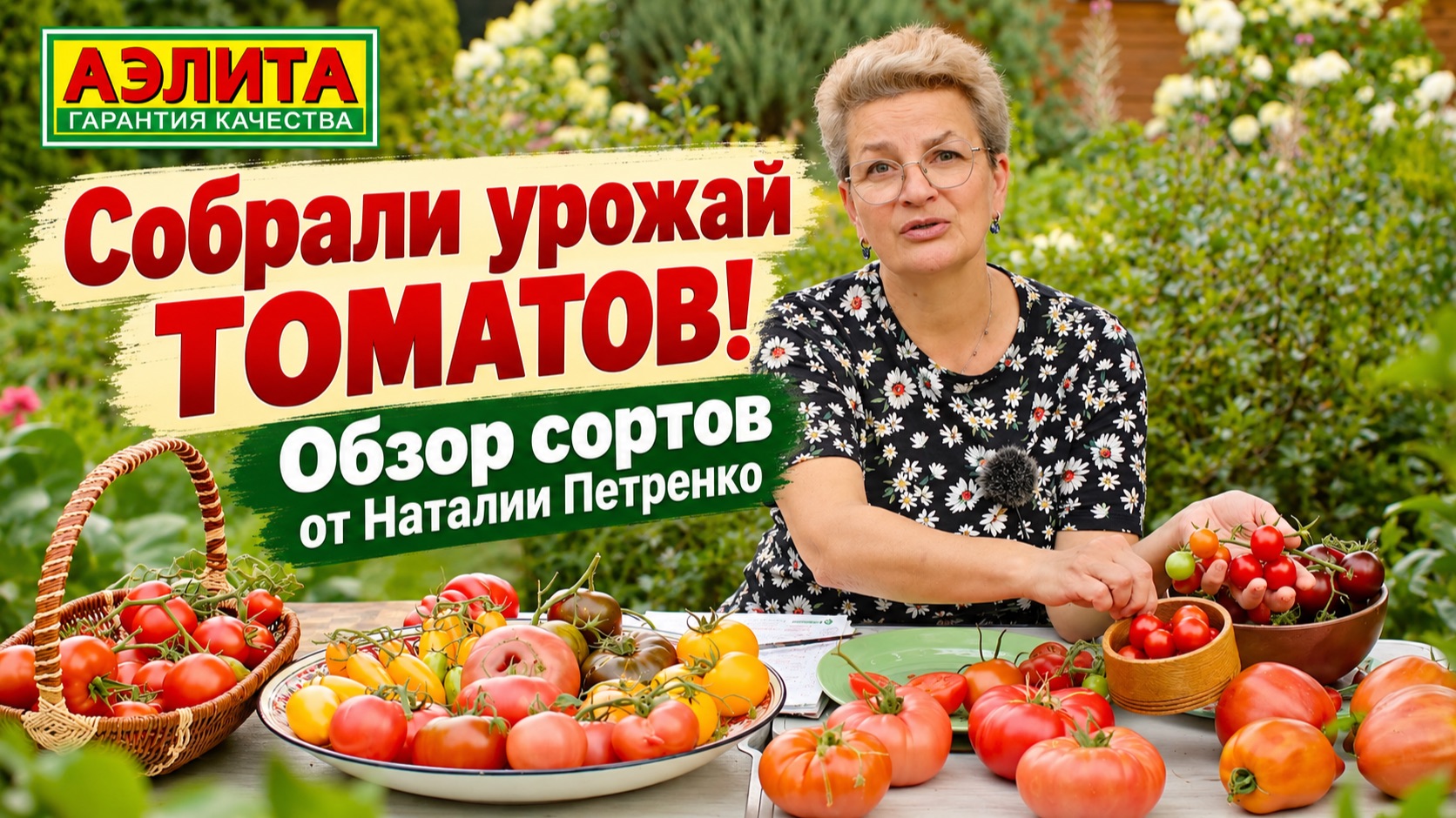 Собрали урожай томатов! Обзор сортов от Наталии Петренко