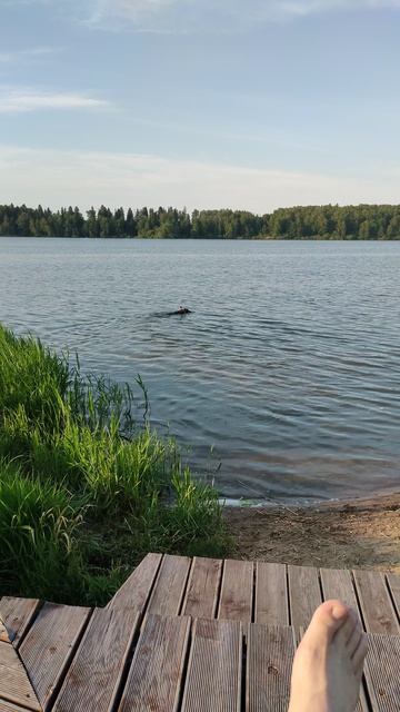 Сенеж Лето