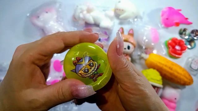 ASMR SQUISHY TABA Paws Unboxing ASMR Squishes And Anti-StressNail Tapping ASMR