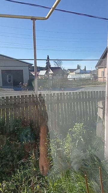 день добрый