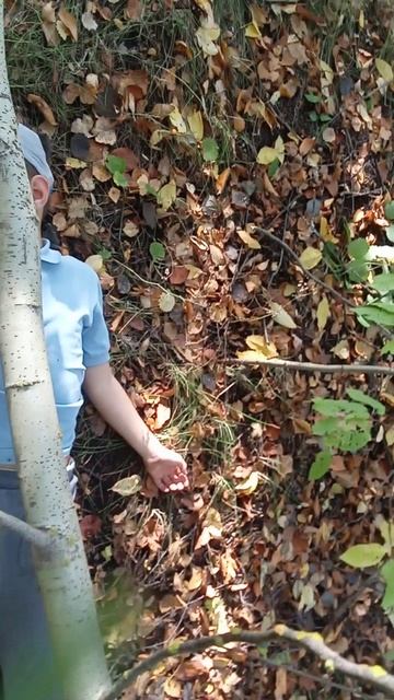 VID_20260926_150343
