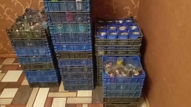 Гладиолусы : Выкопка, Раскладка на первичную сушку.