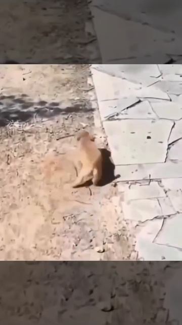 Подпишись на нас в Соц Сетях👇👇👇